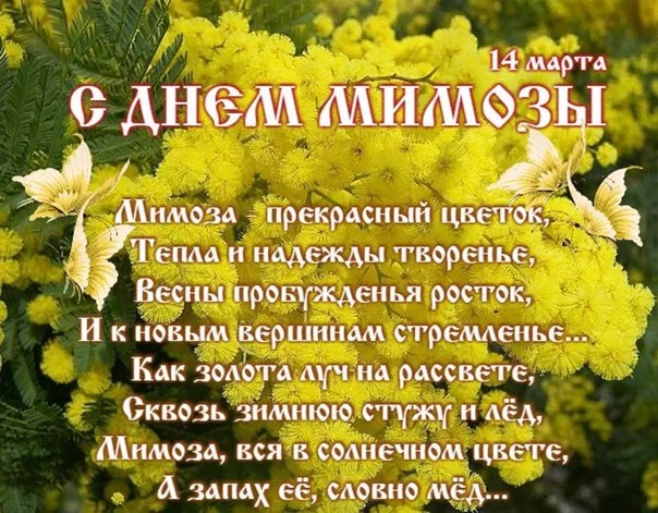 a6036cef d80b 42ed b1ab 50b76b349a00