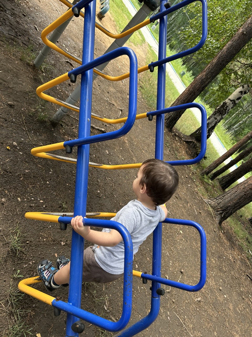 photo 2025 07 14 11 49 10